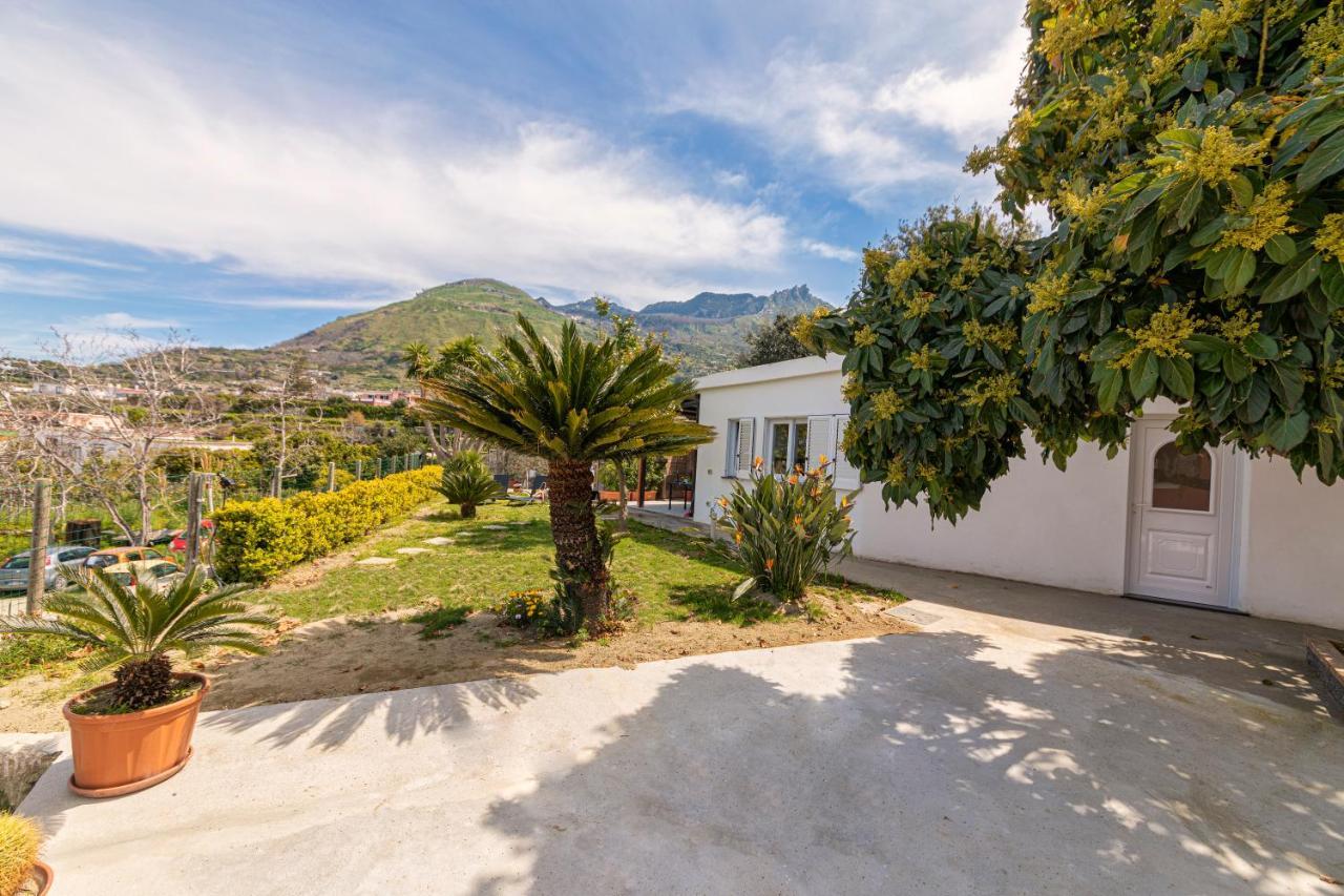 فيلا Casa Yucca Forio di Ischia المظهر الخارجي الصورة