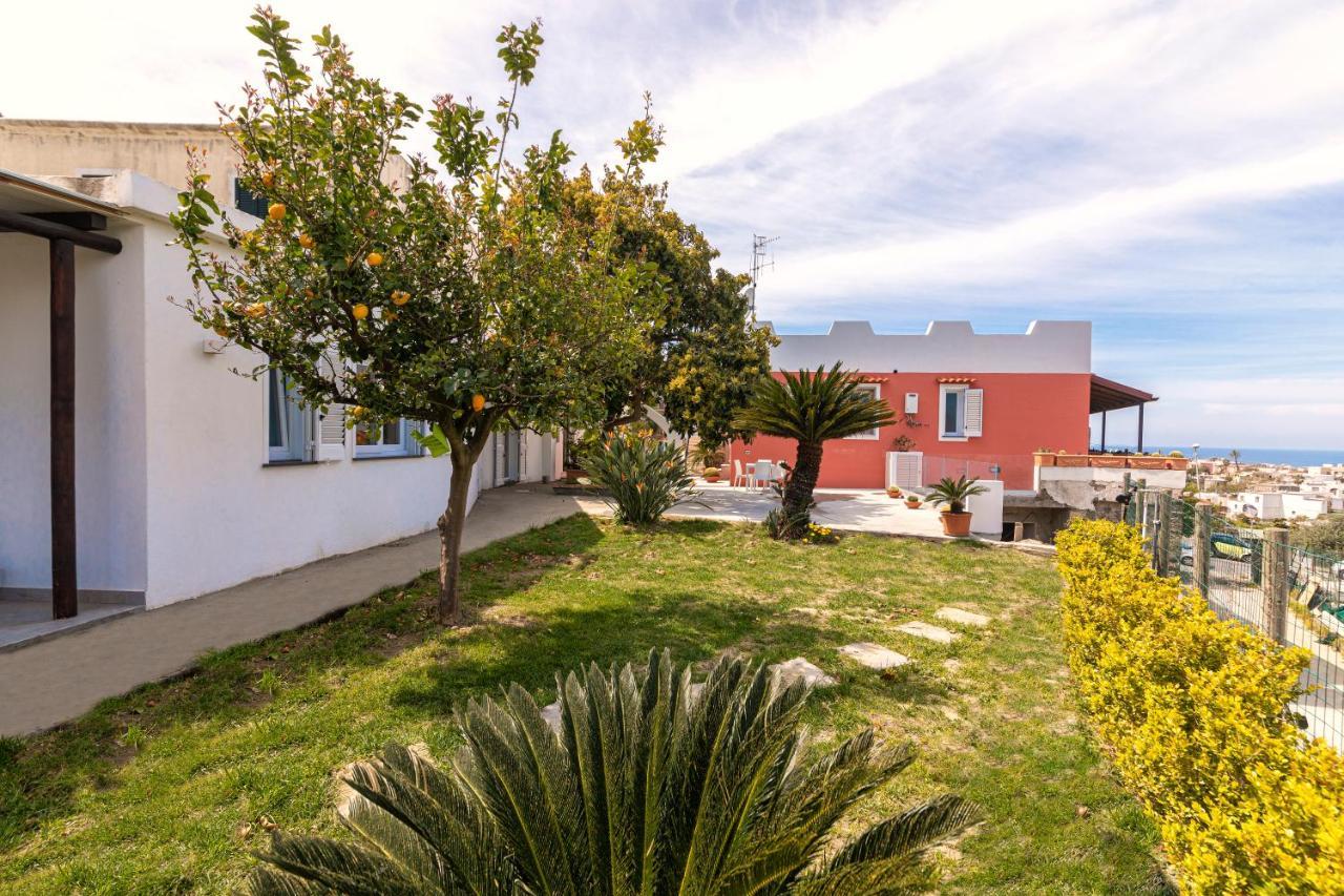 فيلا Casa Yucca Forio di Ischia المظهر الخارجي الصورة