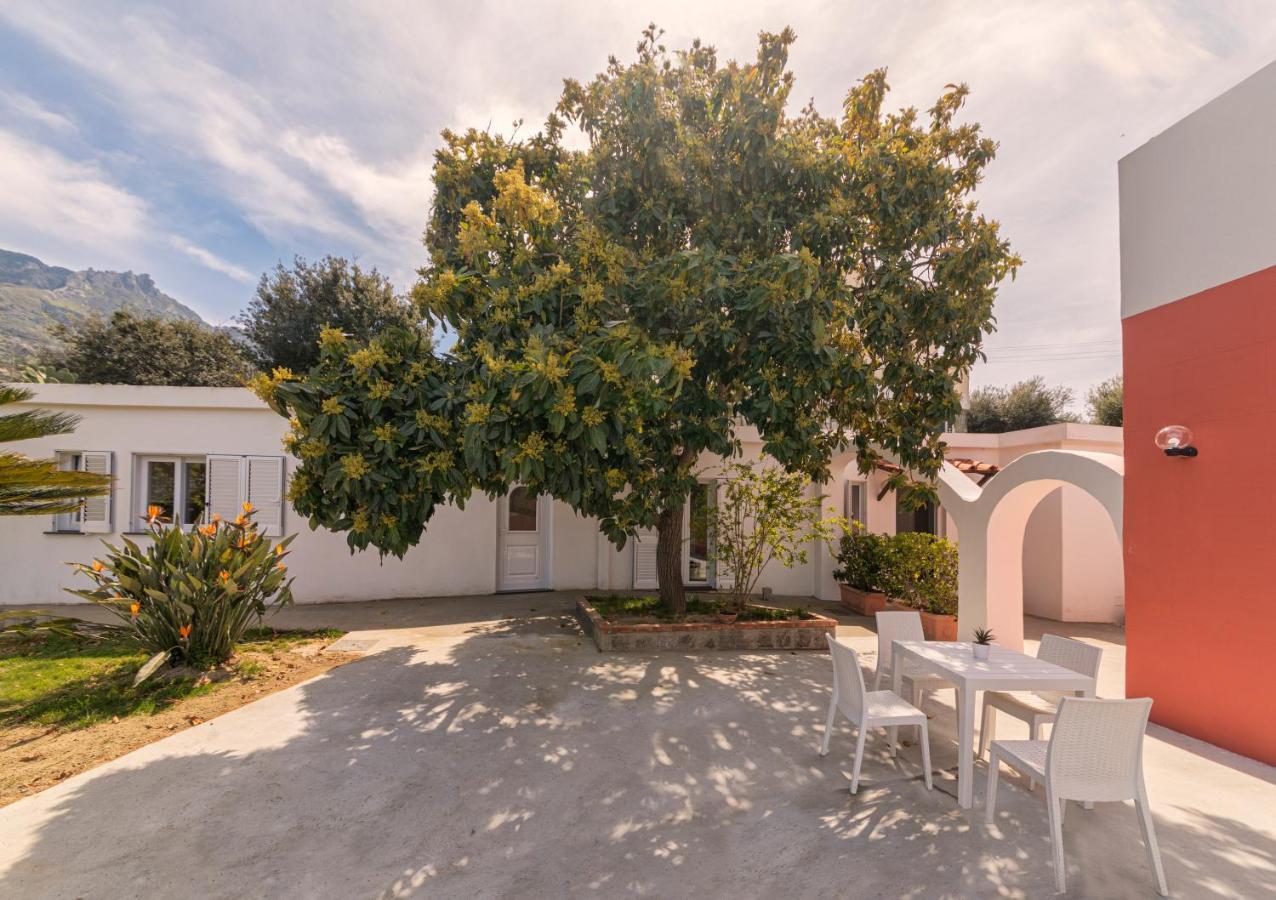 فيلا Casa Yucca Forio di Ischia المظهر الخارجي الصورة